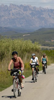 bici2
