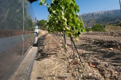 Extreme Wine Tourism in the Priorat.