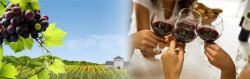 selected wineries selected wineries