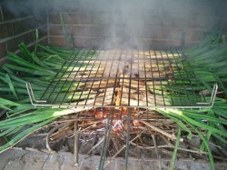 calcots al foc enoturismo