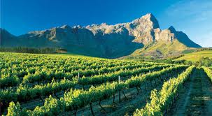 South African Wine Regions