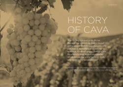 History of Cava