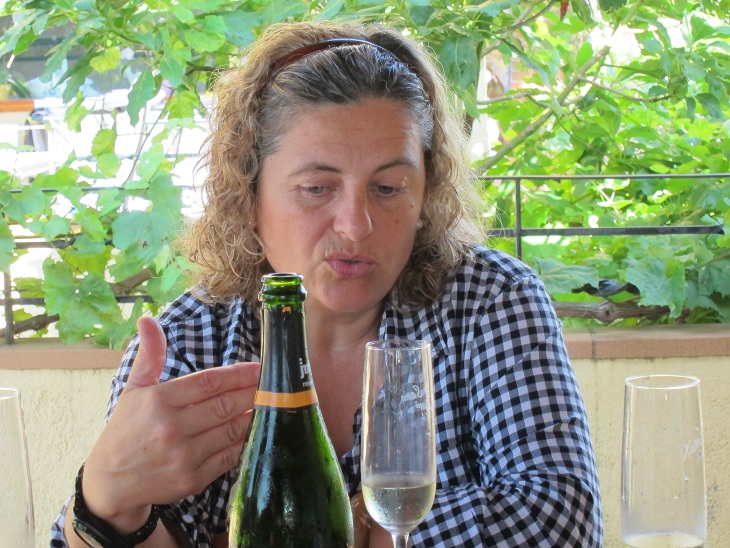 Sparkling Success for Ferret Guasch in 50 Great Cava E-book