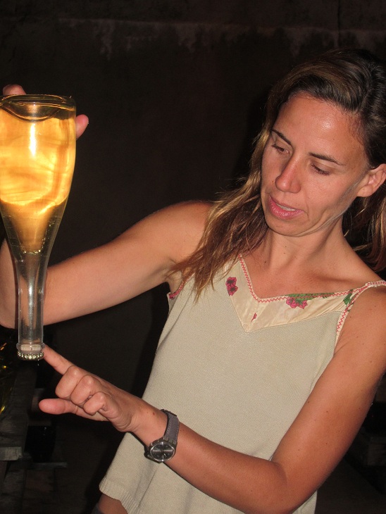 All aboard wine lovers! Capita Vidal sets sail into 50 Great Cavas