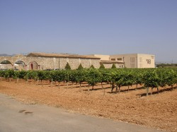 Wine Pleasures visits Macia Batle