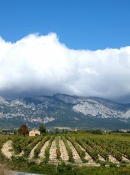 Wine Pleasures visits Luis Canas, La Rioja