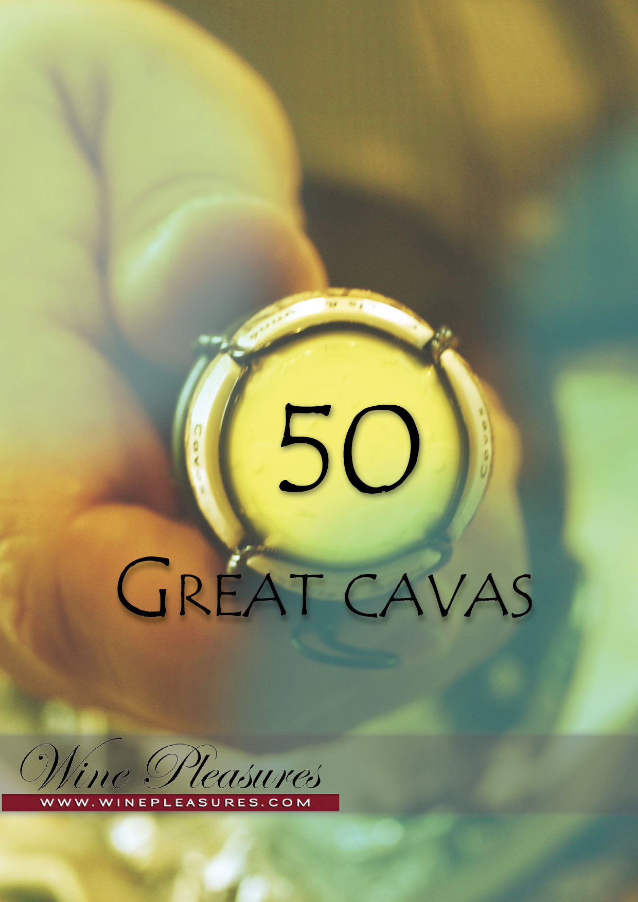 Trek the Via de la Plata & Via Augusta & Discover the 50 Great Cavas 2012
