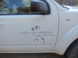 Wine Plesures visits Finca Valldosera 50 Great Cavas