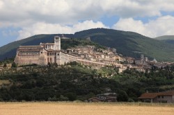 Wine Pleasures Workshop Assisi Buyer meets Italian Cellar