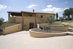 Wine Pleasures Workshop Assisi Buyer meets Italian Cellar