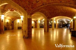 Wine Pleasures visits 50 Great Cava Vallformosa