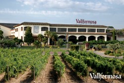 Wine Pleasures visits 50 Great Cava Vallformosa