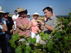 Wine tasting tours Spain