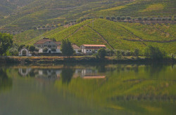 Wine Tourism Portugal iwinetc