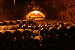 50 Great Cava roducer Fermí Bohigas