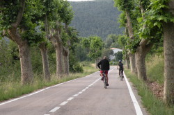 Wine country bike tour Penedes