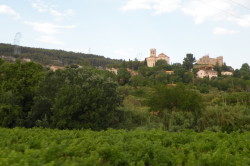 Wine country bike tour Sant Marti Sarroca