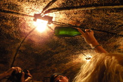Wine Pleasures visits 50 Great Cava producer Rovellats