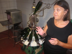 Wine Pleasures visits Lobban Wines