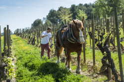 Biodynamic farming