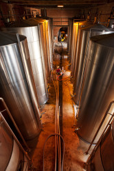 Golden rules for winery visits - avoid showing stainless steel tanks