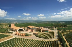 50 Great Cava Wine Tasting Tour 3