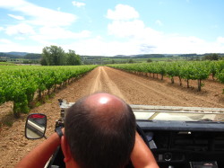 50 Great Cava wine tasting tour