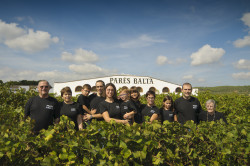 Pares Balta 50 Great Cavas 2014