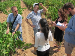 50 Great Sparkling Wines Cusco Berga