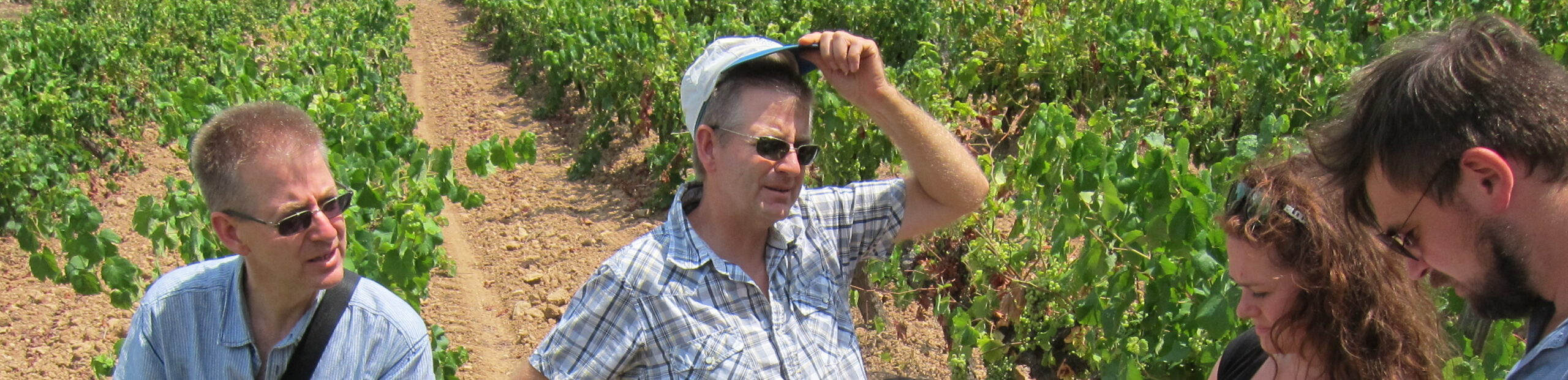 Massís del Garraf Terroir key to Sparkling Success at Cuscó Berga