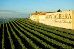 Montalbera 50 Great Sparkling wines