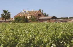 50 Great Cava places to stay  - Sol i Vi