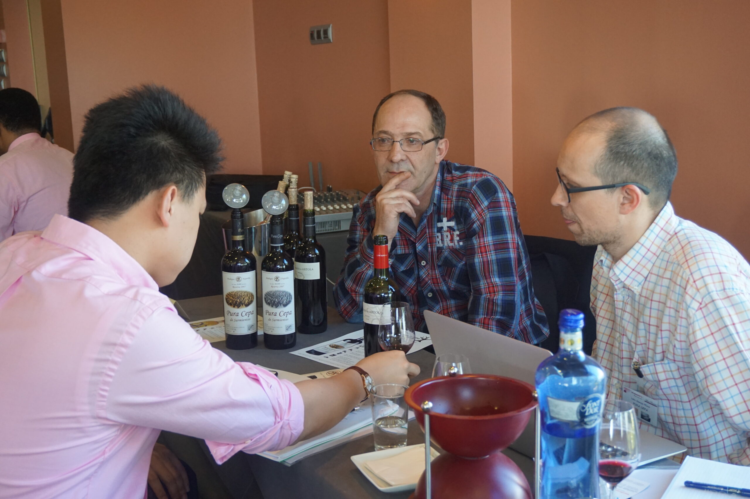 A Day of Meetings at Wine Pleasures Workshop