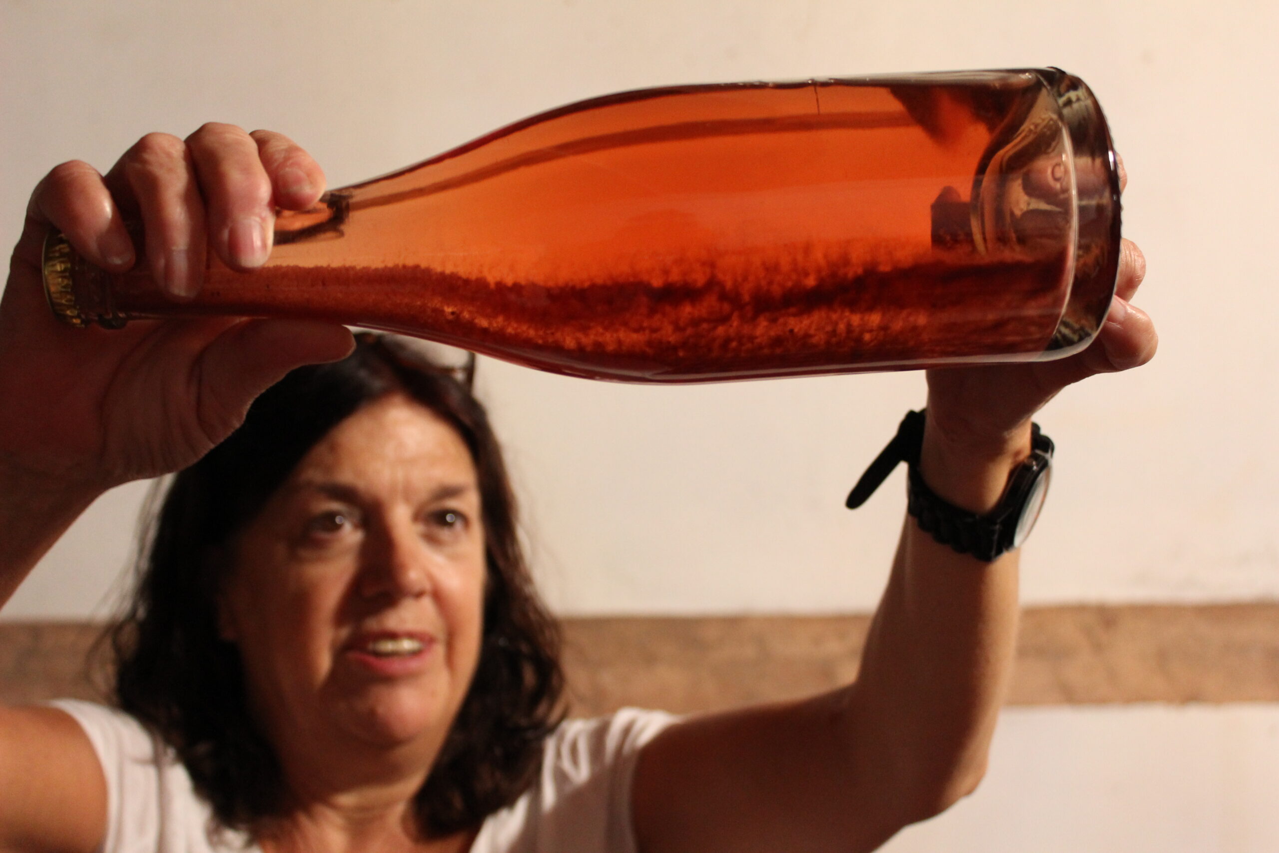 Spanish Red Wine is on the Bubble in the Penedès