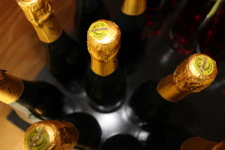 50 Great #Cava producer Vilarnau