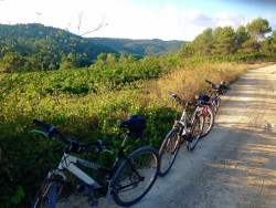 Wine Plesures 50 Great Cava country bike tour