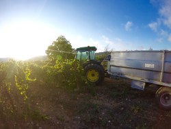 Wine Plesures 50 Great Cava country bike tour