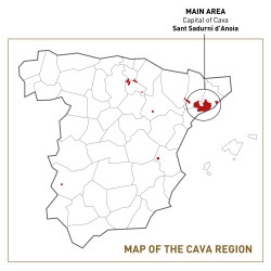 Where is Cava made?