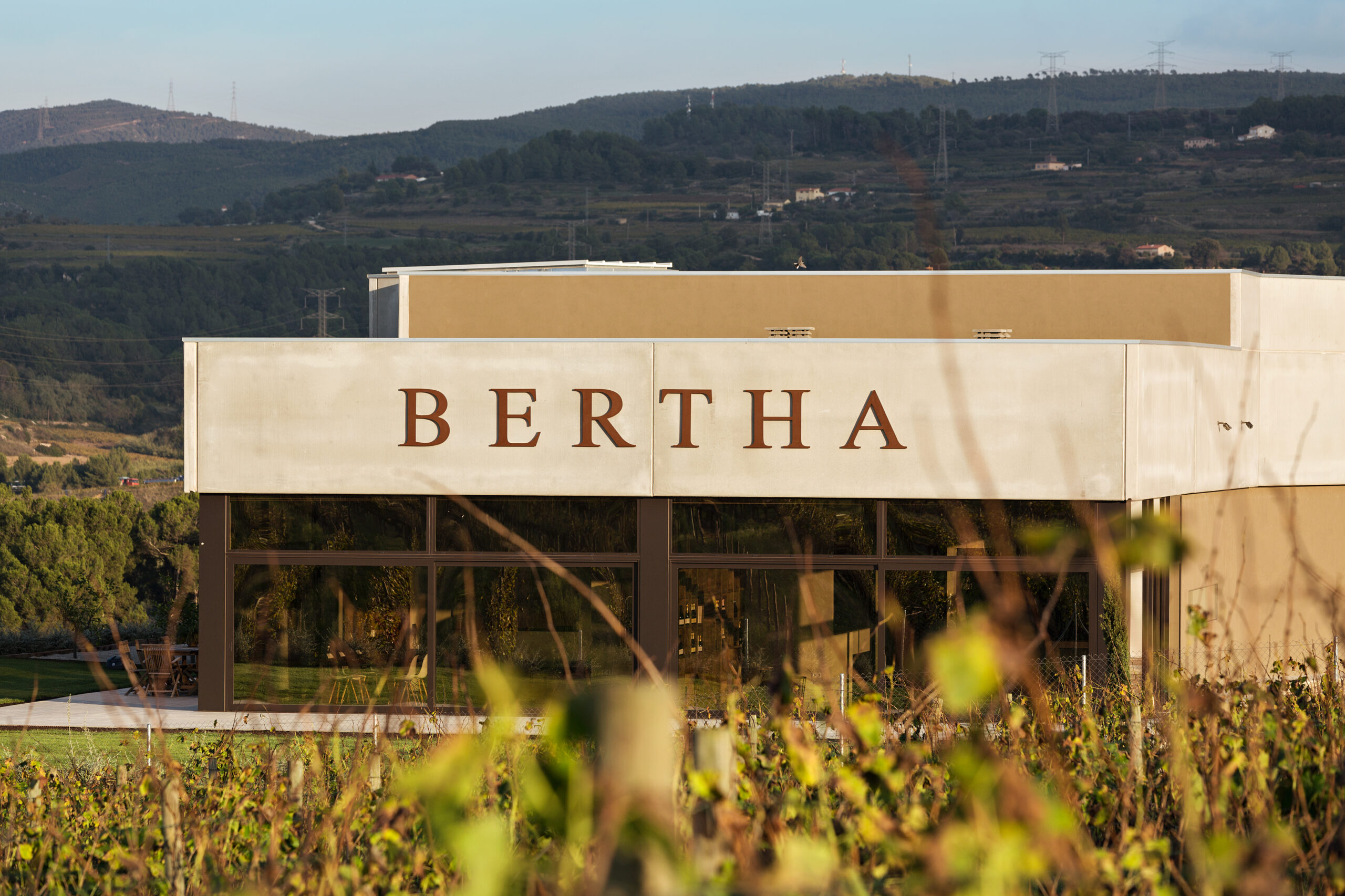 Cava Bertha migrates to the vineyards
