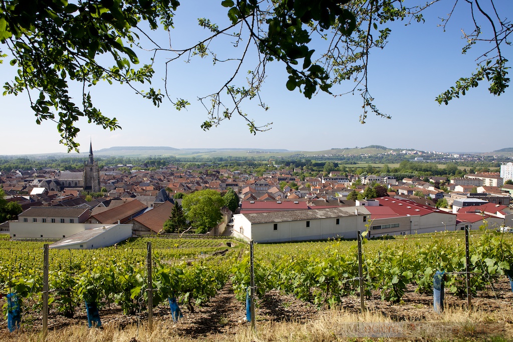 Champagne Collet: Sparkling ever since Champagne Wars