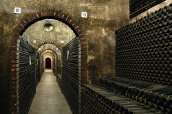 Caves São João 50 Great Sparkling Wines of the World 2016 by Wine Pleasures