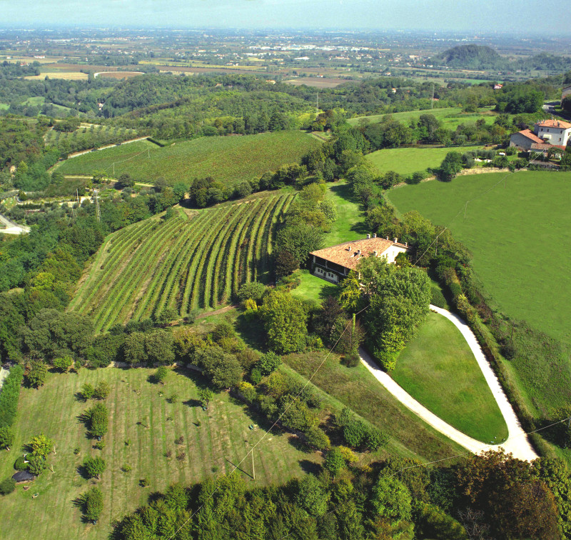 Fattoria Eolia 50 Great Sparkling Wines of the World