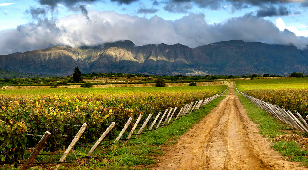 The Secret’s Out: Exciting Wines from Bolivia