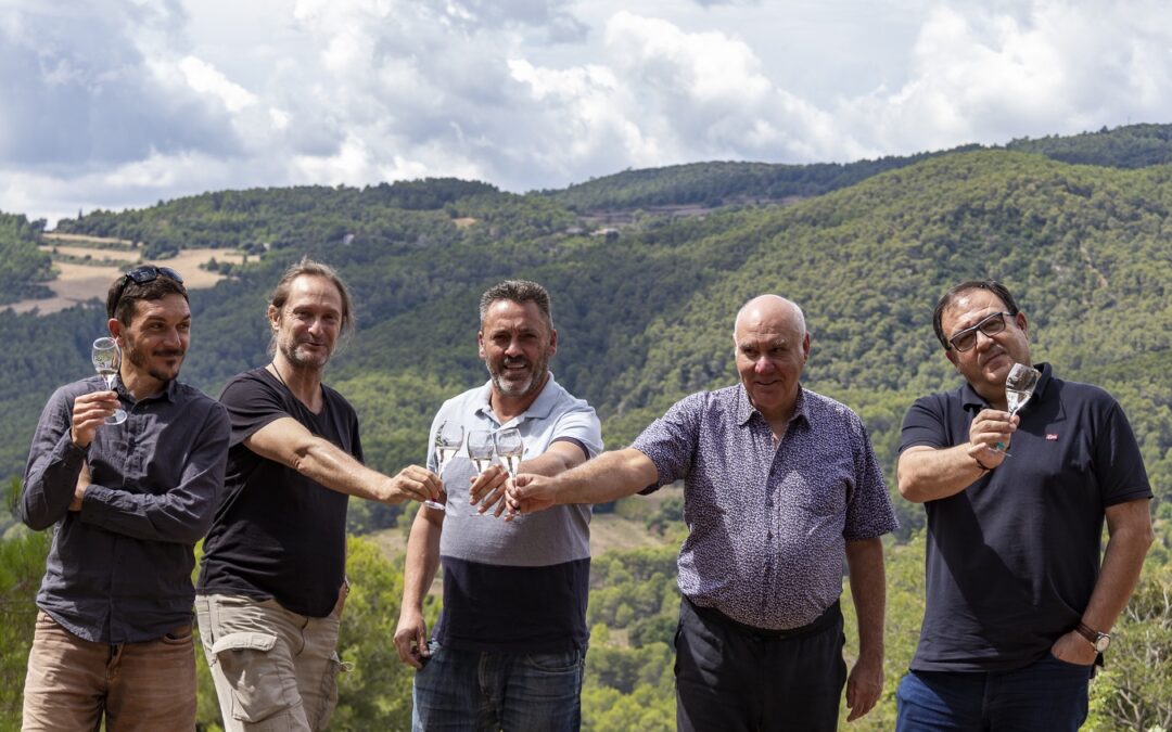 Spain’s Top Cava for 2021