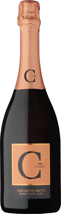 C-Cabriz-Bruto-Branco-50-GSW-2022-by-Wine-Pleasures