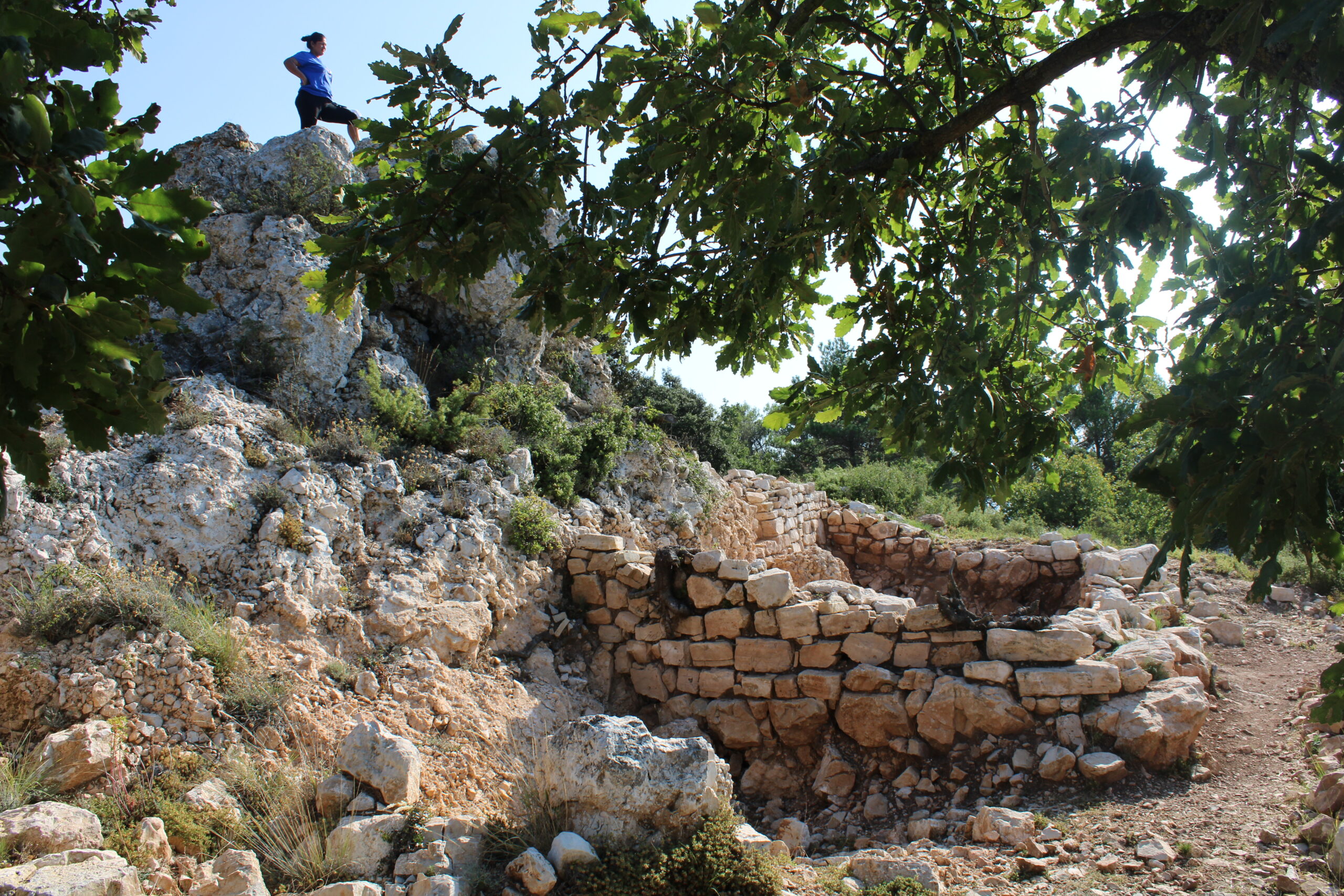 Enoturismo La llacuna anoia, catalunya