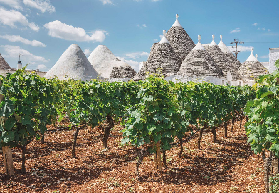 Some of Southern Italy’s Hidden Gems at Wine Pleasures B2B Puglia 2023