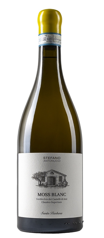 Moss Blanc - 50 Great Whites Wines of the World by Wine Pleasures
