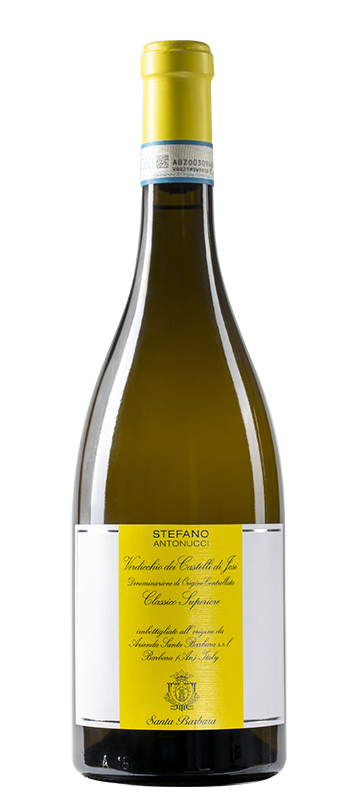 Stefano Antonucci - 50 Great Whites Wines of the World by Wine Pleasures