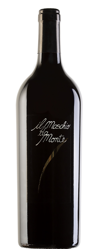 Il Maschio da Monte - 50 Great Red Wines 2025 by Wine Pleasures